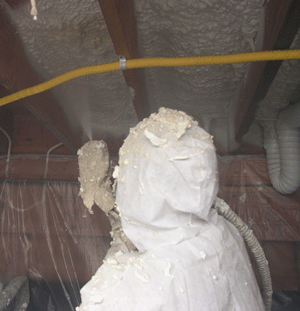 Daytona Beach FL crawl space insulation